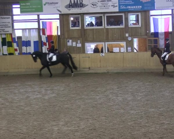 Reitturnier Sörup 2019