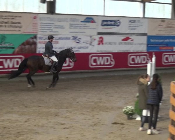 Reitturnier Wachtberg-Adendorf 2019