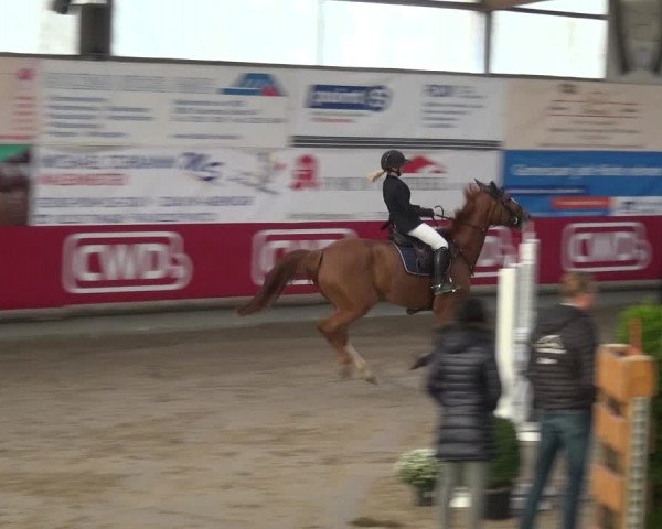 Reitturnier Wachtberg-Adendorf 2019