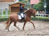 dressage horse Cefiro 3 (Pura Raza Espanola (PRE), 2007, from Alfarero XX)