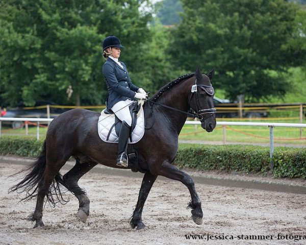 dressage horse Jillis 2 (Friese, 2004)