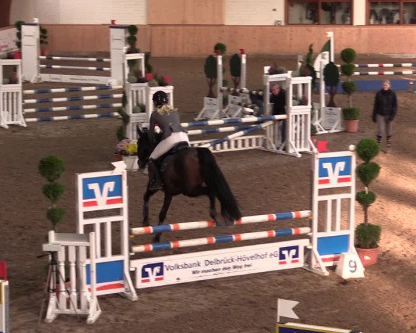 Reitturnier Hövelhof 2019