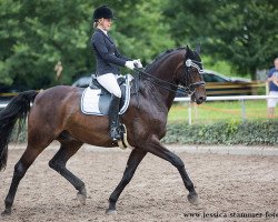 dressage horse Sidney Green (Rhinelander, 2007, from Sir Bedo)