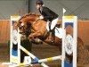 jumper Ronny 368 (Welsh-Pony (Section B), 2010)