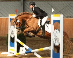 jumper Ronny 368 (Welsh-Pony (Section B), 2010)