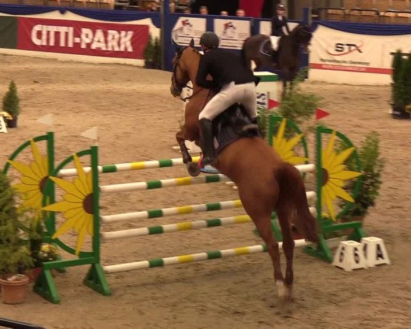 Reitturnier Neumünster 2019