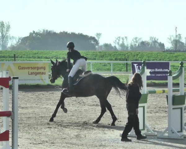 Reitturnier Langenau 2019