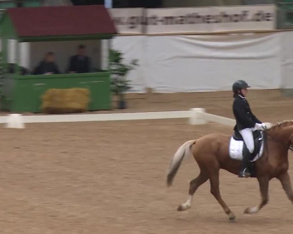 Reitturnier Kreuth/Opf. 2019
