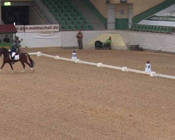 Reitturnier Kreuth/Opf. 2019