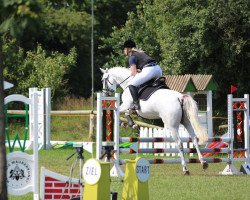 broodmare Soel'rings Classix Lady (Little German Riding Horse, 2006, from Donaufels)