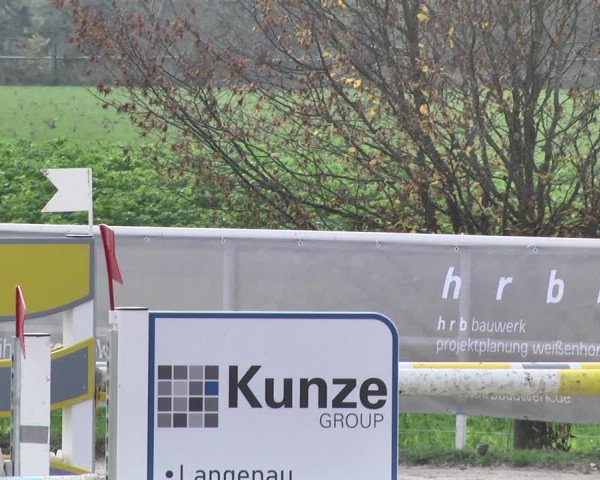 Reitturnier Langenau 2019