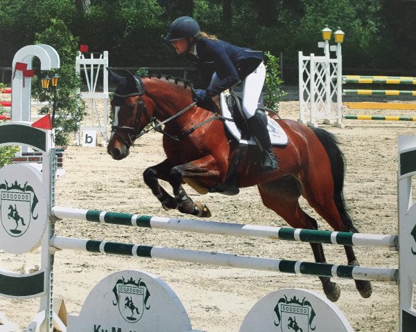 jumper Faya Raica (KWPN (Royal Dutch Sporthorse), 2010, from Tangelo van de Zuuthoeve)