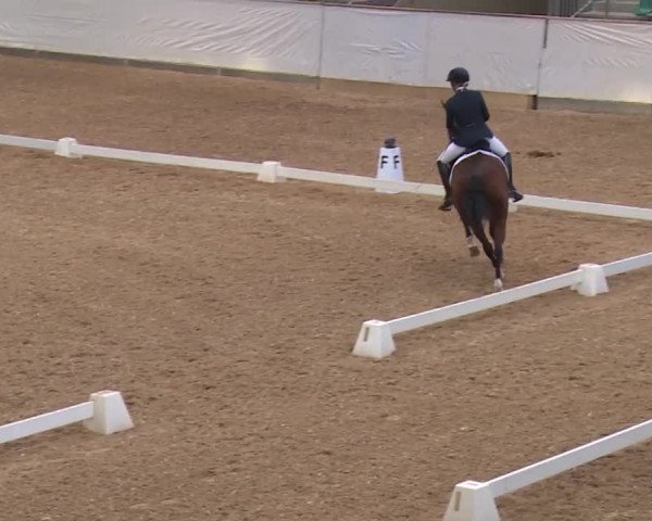 Reitturnier Kreuth/Opf. 2019