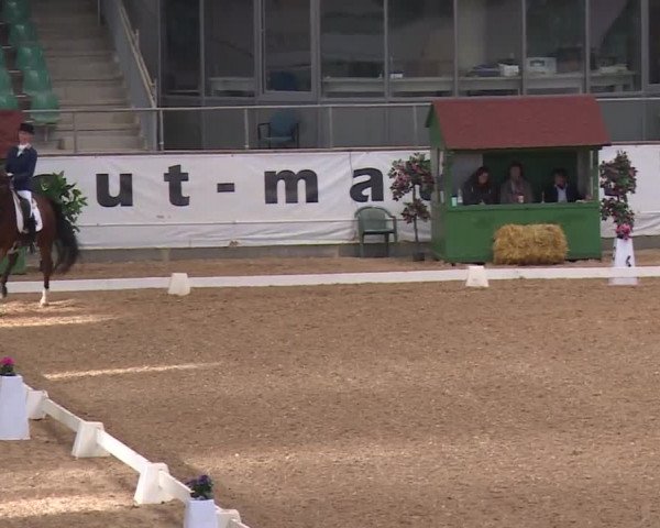 Reitturnier Kreuth/Opf. 2019