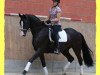 dressage horse Royal Line (Hanoverian, 2006, from Royal Blend)