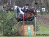 jumper Sanssouci 108 (Hanoverian, 2007, from Stalypso)