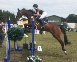 broodmare Coco 216 (Oldenburg show jumper, 2007, from Conteros)