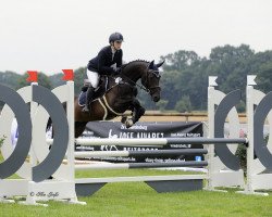 broodmare Queen Emma 2 (Hanoverian, 2011, from FRH Quaid)