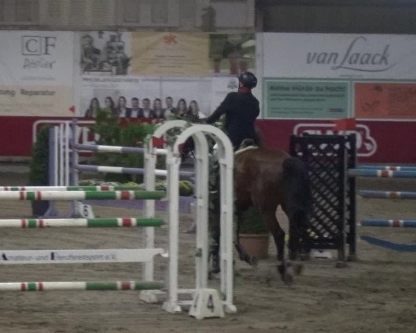 Reitturnier Wachtberg-Adendorf 2019