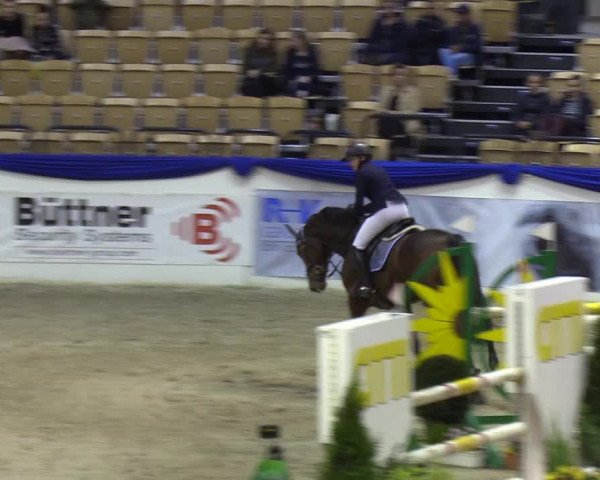 Reitturnier Neumünster 2019