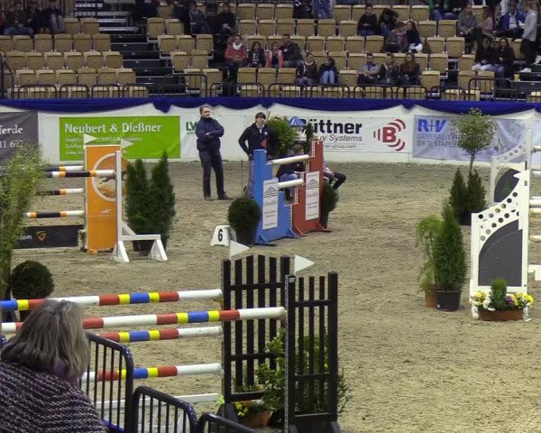 Reitturnier Neumünster 2019