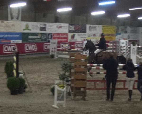 Reitturnier Wachtberg-Adendorf 2019