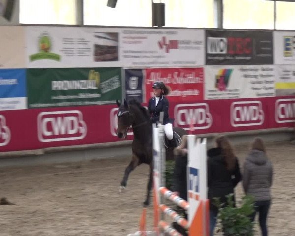 Reitturnier Wachtberg-Adendorf 2019