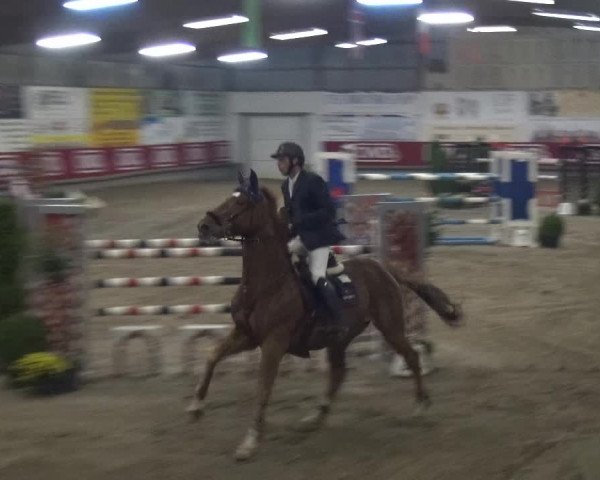Reitturnier Wachtberg-Adendorf 2019