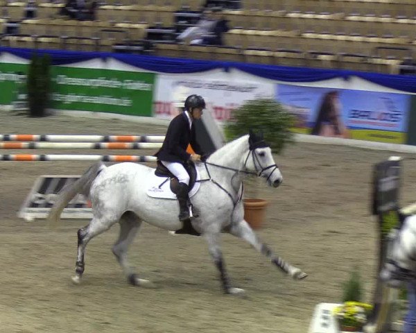 Reitturnier Neumünster 2019