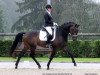 dressage horse Lord Liberty's Son (Oldenburg, 2012, from Lord Liberty G)