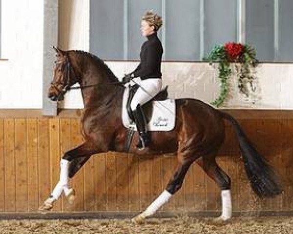 stallion Florion (Oldenburg, 2006, from Florencio I)