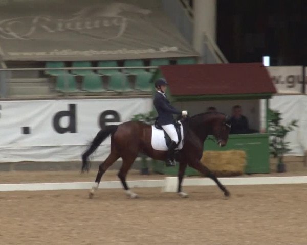 Reitturnier Kreuth/Opf. 2019