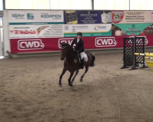 Reitturnier Wachtberg-Adendorf 2019