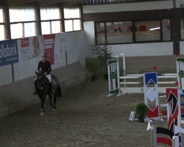 Reitturnier Vlotho-Valdorf 2019