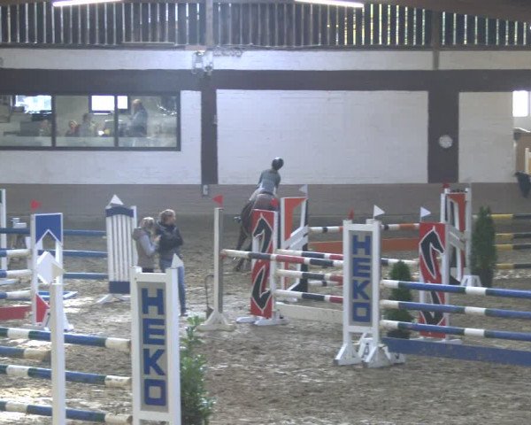 Reitturnier Vlotho-Valdorf 2019