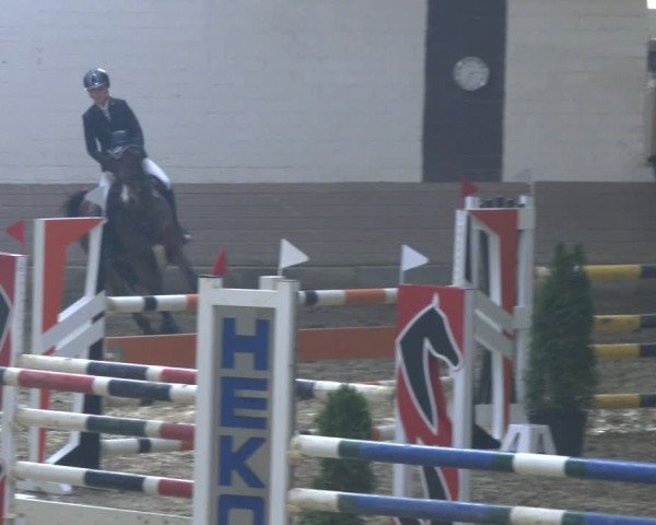 Reitturnier Vlotho-Valdorf 2019