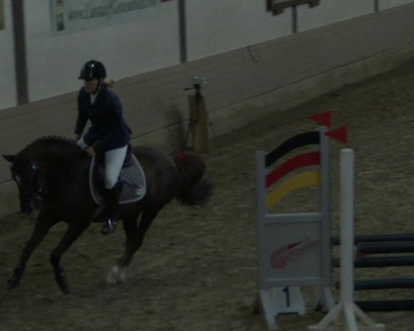 Reitturnier Vlotho-Valdorf 2019