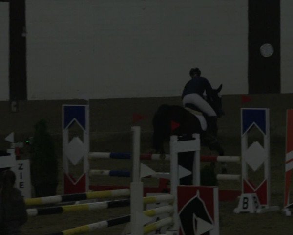 Reitturnier Vlotho-Valdorf 2019