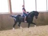 dressage horse Licosecco (Oldenburg, 2011, from Licotus)