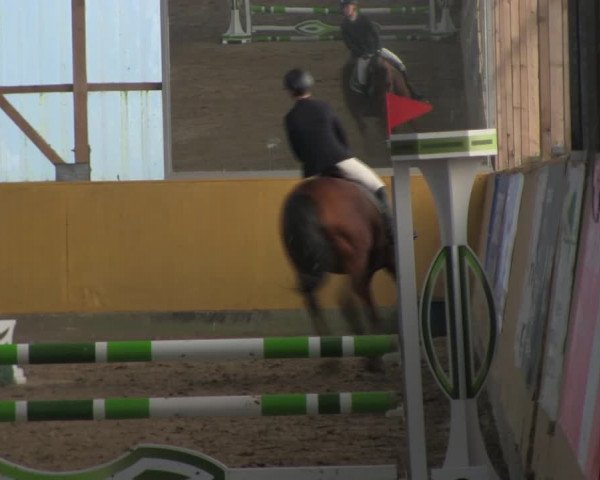 Reitturnier Pausin 2019