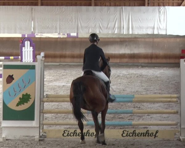 Reitturnier Tremsdorf, Eichenhof 2019