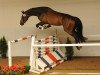 jumper Oranje (Oldenburg, 2011, from Olympic Fire 5)