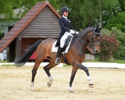 dressage horse Pearl 104 (Westphalian, 2006, from Ehrentusch)