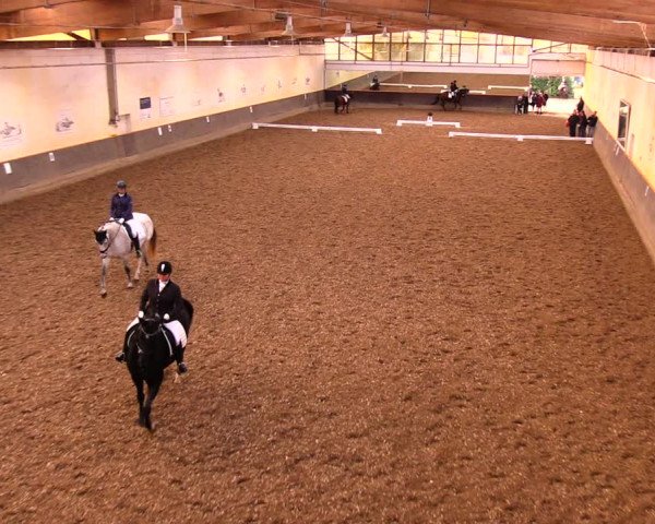 Reitturnier Dallgow 2019