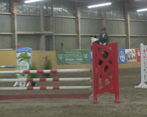 Reitturnier Pausin 2019
