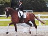 dressage horse Romus 5 (Hanoverian, 2009, from Rotspon)