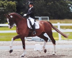 dressage horse Romus 5 (Hanoverian, 2009, from Rotspon)