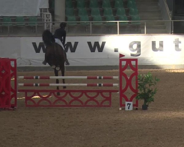 Reitturnier Kreuth/Opf. 2019