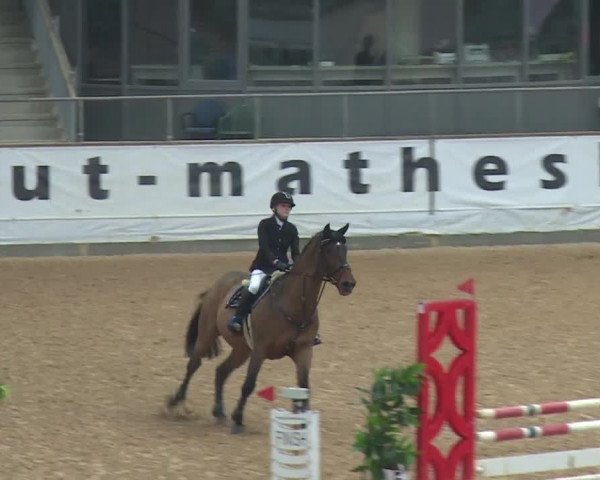 Reitturnier Kreuth/Opf. 2019