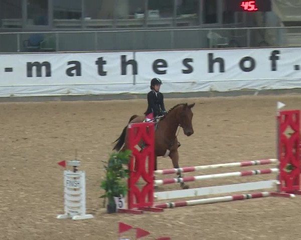 Reitturnier Kreuth/Opf. 2019